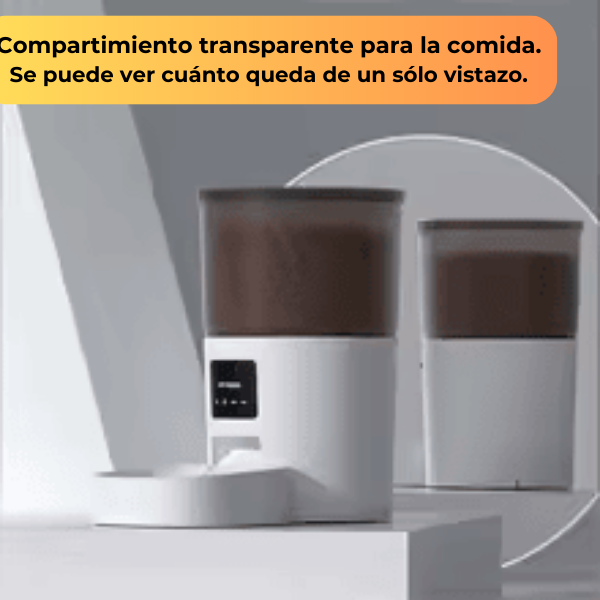 Comedero Automático para Gatos con Cámara